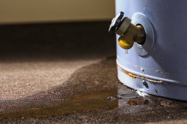 Best Mold removal after water damage  in Roanoke, VA