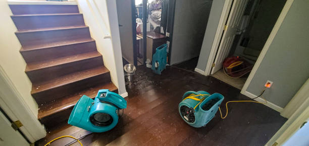 Best Flood damage cleanup  in Roanoke, VA