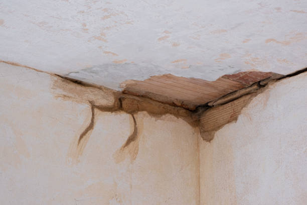 Best Professional water damage repair  in Roanoke, VA