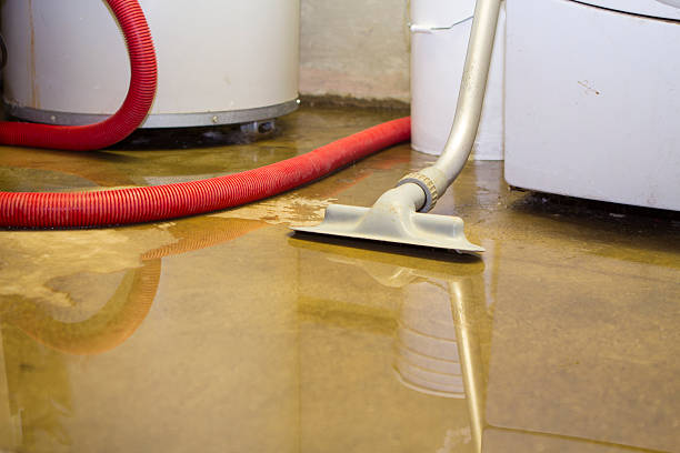 Best Professional water damage repair  in Roanoke, VA