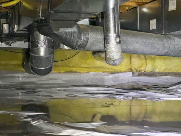 Best Water damage restoration mold remediation  in Roanoke, VA