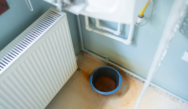 Best Basement water damage restoration  in Roanoke, VA